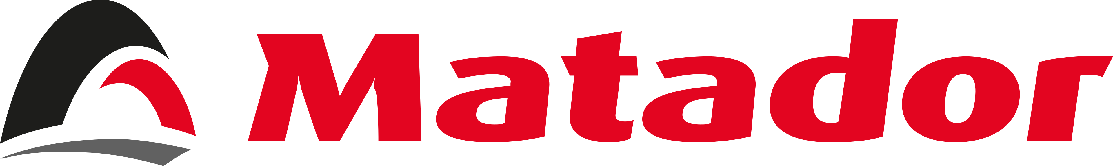 Matador