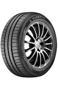 Firemax FM601