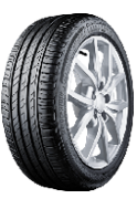 Bridgestone Driveguard