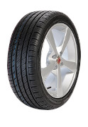 Rapid P609